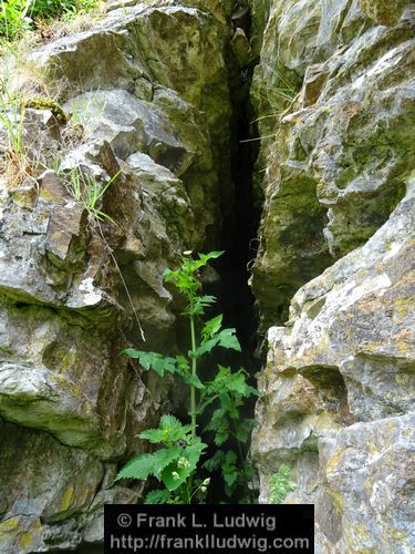 The Caves of Kesh, County Sligo